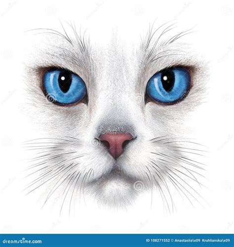 Hand-drawing Portrait of White Cat Stock Illustration - Illustration of ...