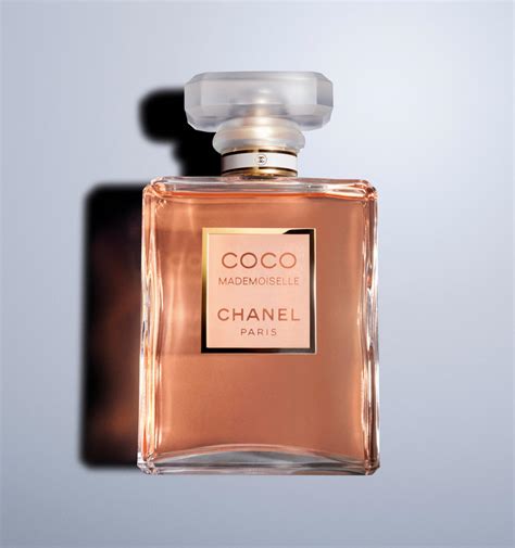 How Much Does Coco Chanel Cost - Grooming Wise