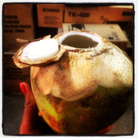 Enjoying my coconut in Ghana | Tableware, Glassware, Coconut