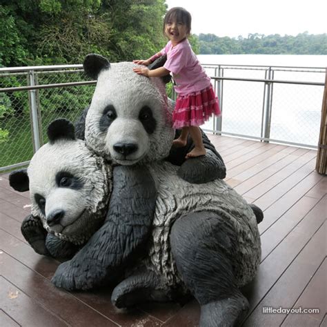 Singapore Zoo: Giant Panda Forest - Little Day Out