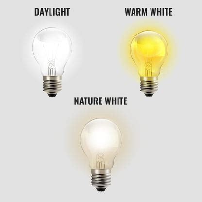 LED High-Powered Bulb 100W E27 Bulb Holder with Heatsink – Ecoshift Shopify