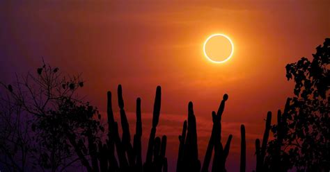 Here’s How to Watch the “Ring of Fire” Eclipse Taking Place This Month ...