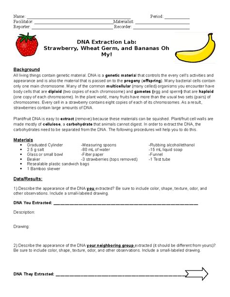 Strawberry Dna Extraction Lab Worksheet – Pro Worksheet