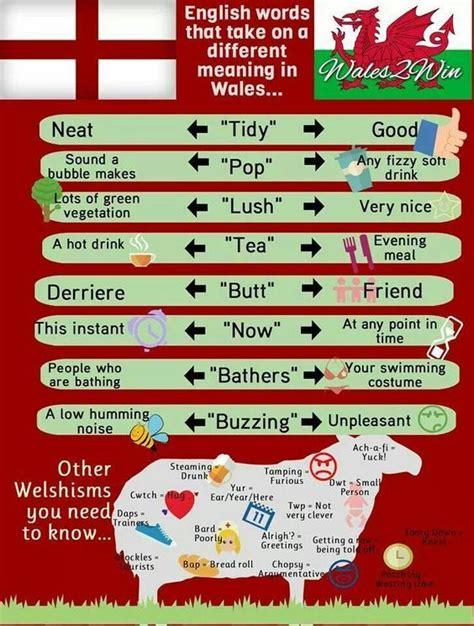 Welsh phrases are different to English :) | Welsh words, Wales, Welsh ...