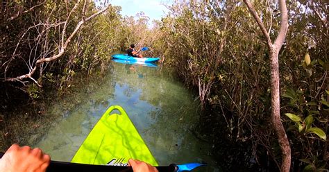 Kayaking at the Eastern Mangroves Park in Abu Dhabi | insydo