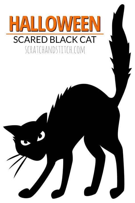 8 Easy Halloween Decor Ideas | scratchandstitch.com | Black cat ...