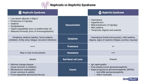 Nephrotic Vs Nephritic Syndrome Mnemonic