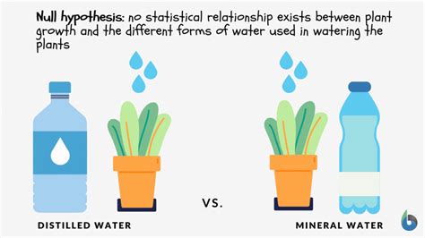 Hypothesis Examples For Kids