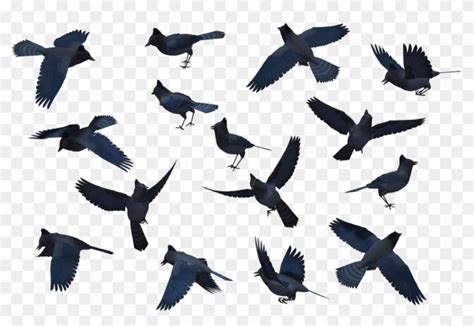 Requested Bird Set - Blue Jay Bird Silhouette - Free Transparent PNG ...