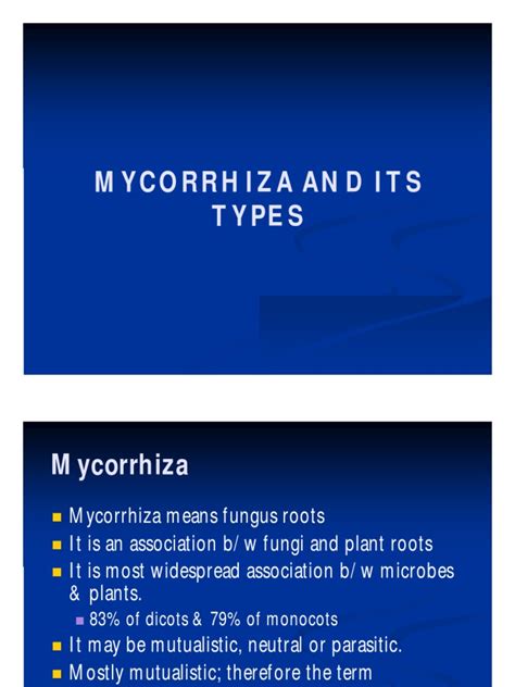 04 Mycorrhiza and Its Types | PDF