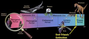 End-Triassic Extinction - Sam Noble Museum