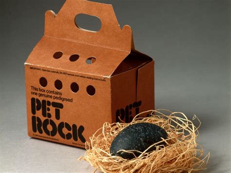 The Pet Rock Captured a Moment and Made Its Creator a Millionaire - ABC ...