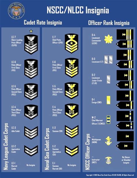 √ Army Cadet Ranks And Badges - Theodore Bailey