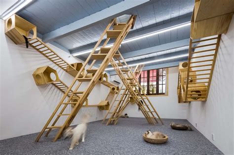 Cat Café TRYST / Parallect Dedign | ArchDaily