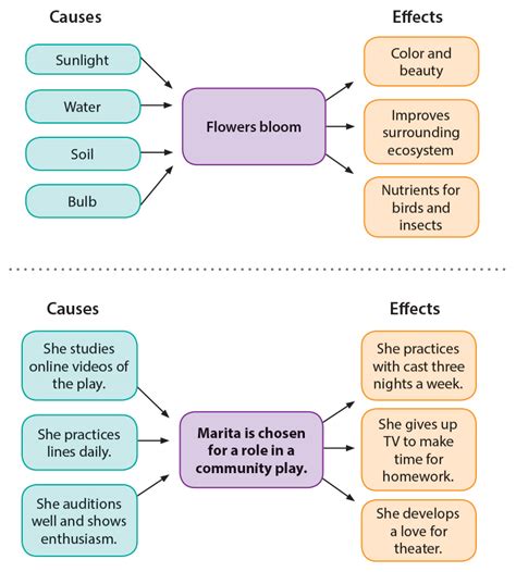 Warm-Up for Cause-Effect Essays | Thoughtful Learning K-12