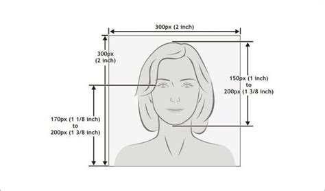 2x2 Passport Photo Template Psd | TUTORE.ORG - Master of Documents