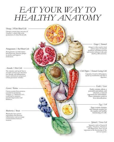 Nutrition Poster - Healthy Food Art - Health Watercolor Print # ...