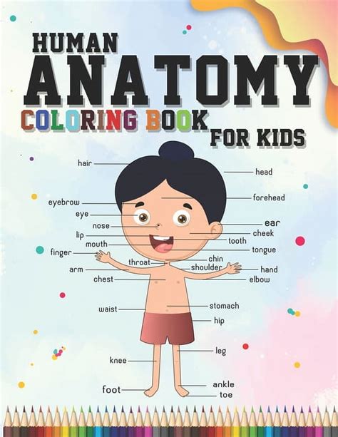 Human Anatomy coloring book for kids: An Entertaining and Instructive ...