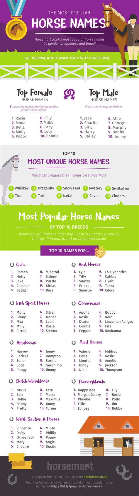 Infographic: The UK’s Most Popular Horse Names | HORSE NATION