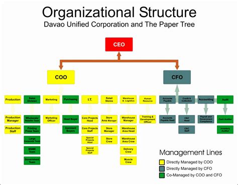 Company Business Structure Diagram Examples Of Organizationa