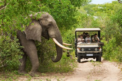 Luxury Safari Holidays South Africa | Hayes & Jarvis Holiday