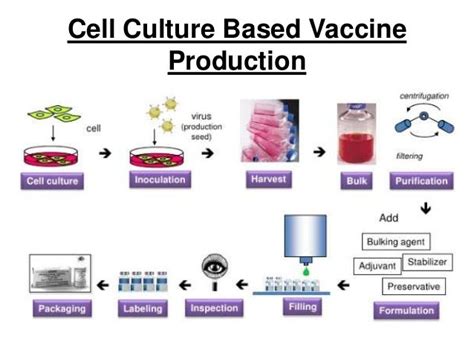 Applications of cell culture