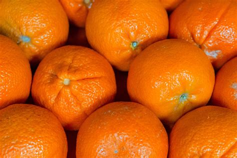 Close Up Photo Of Orange Fruits · Free Stock Photo