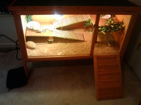 Cheap Diy Bearded Dragon Enclosure - DIY HGR