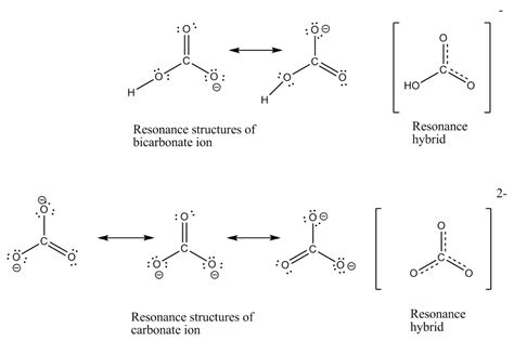 Bicarbonate Ion Lewis Structure