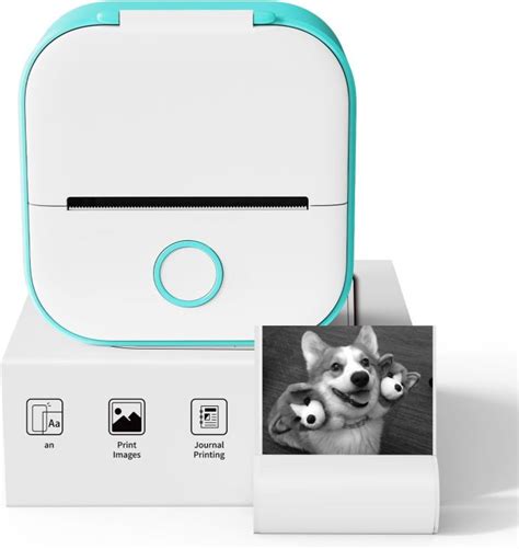 Mini Portable Sticker Printer - Phomemo T02 Pocket Printer with Roll ...