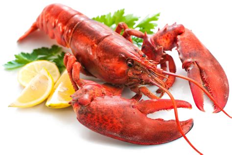 Lobster clipart lobster dish, Lobster lobster dish Transparent FREE for ...