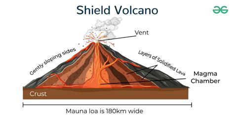 Shield Volcano: Definition, Examples, characteristics, Digram