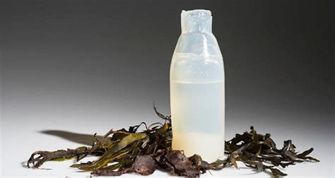 Water bottle made from algae could save 50 billion plastic bottles a ...