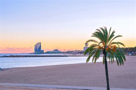 Nova Icaria Beach in Barcelona - Relax on the Sandy Shores of a ...