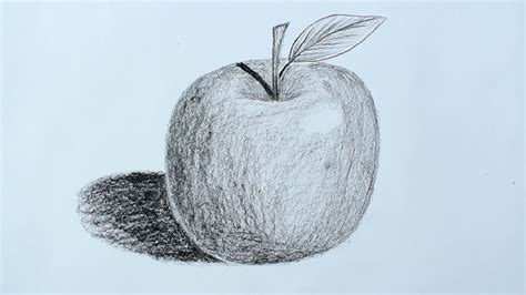 How to draw an apple with pencil - pencil sketch - YouTube