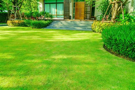 Suggested Grass Maintenance from the Experts - Turf Connections