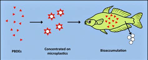 Microbeads could be turning the fish we eat toxic, study finds