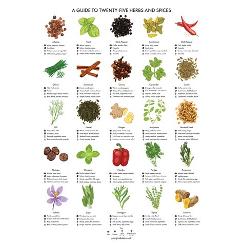 Herbs and Spices Guide Poster A4/A3/A2 Kitchen Print, Food Wall Art ...