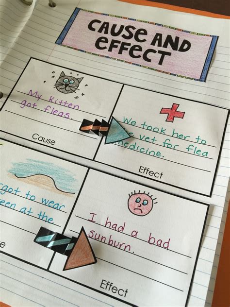 Cause And Effect Examples 3rd Grade