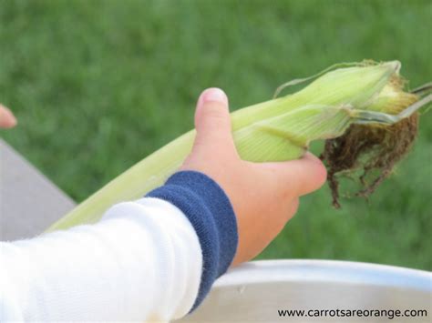 Practical Life {Shucking Corn}