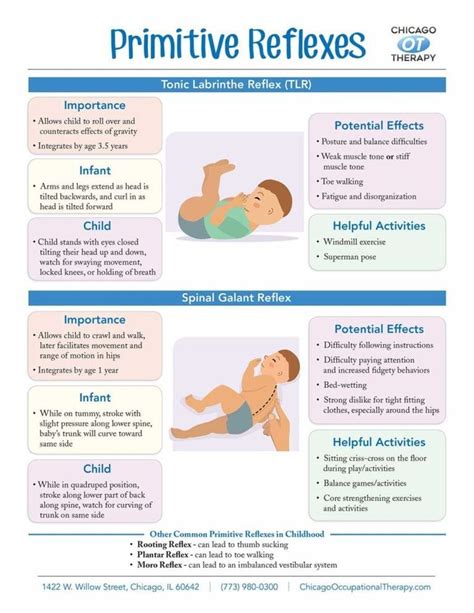 Primitive reflexes are the reactive actions that a newborn baby uses to ...