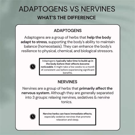 Adaptogens vs Nervine Herbs in 2024 | Herbal sleep, Herbal sleep aids ...