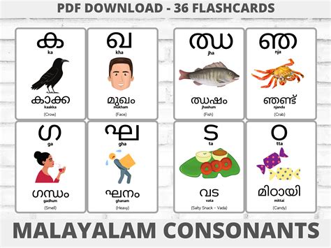 Malayalam Alphabet Flashcards, Malayalam Consonants, Learn Malayalam ...