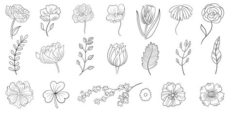 Set of Hand Drawn Line Flowers 952678 Vector Art at Vecteezy