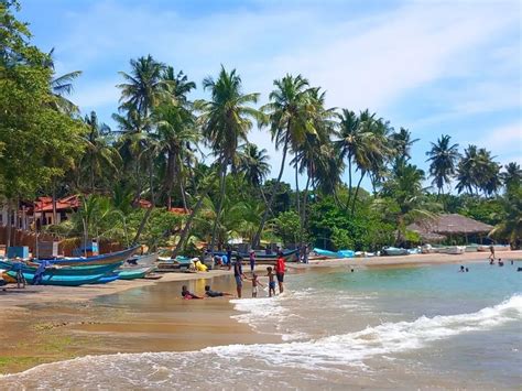 Arugam Bay Beach In Sri Lanka |Surf, Sun, and Serenity