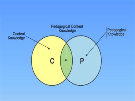 Pedagogical skills