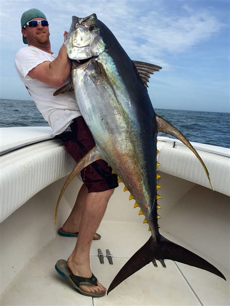 Ruffs Fishing Charters » The Big Tuna Are In