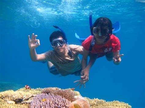 snorkeling in karimunjawa islands Pulau, Snorkeling, Four Square, See ...