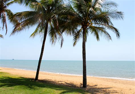 Trinity Beach, Cairns, QLD | Trinity beach, Beach, Summer glow