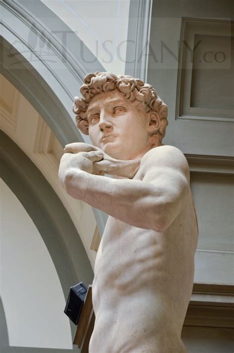 David di Michelangelo - Michelangelo Buonarroti’s David - Florence Tuscany